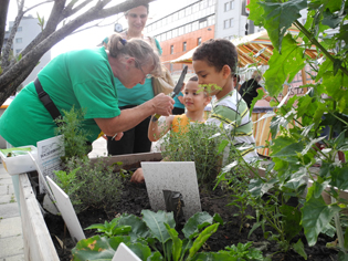 maria beim gartenworkshop