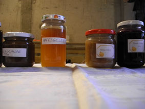 marias 29 unterschiedliche marmeladen