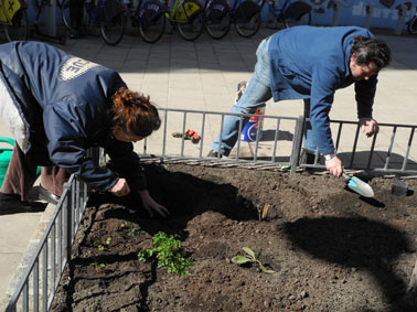 gartenstart