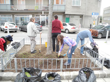 gartenstart 2013