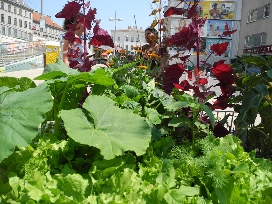 hochbeet im sommer 2014