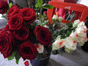 blumen