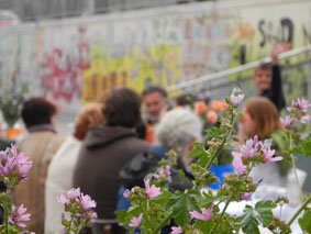 tischgespraech 4_blumen in der stadt