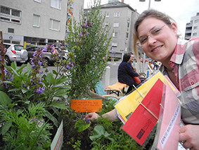 buechergarten im schwendergarten