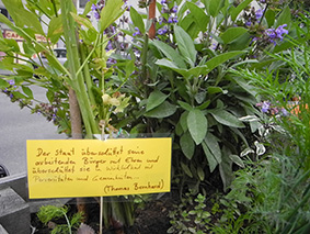 thomas bernhard im schwendergarten