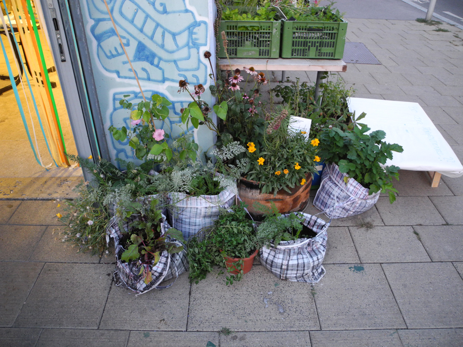 teil des gartens im september 2011